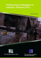 Parliamentary delegation to Lebanon Feb 2011 (CEPR)